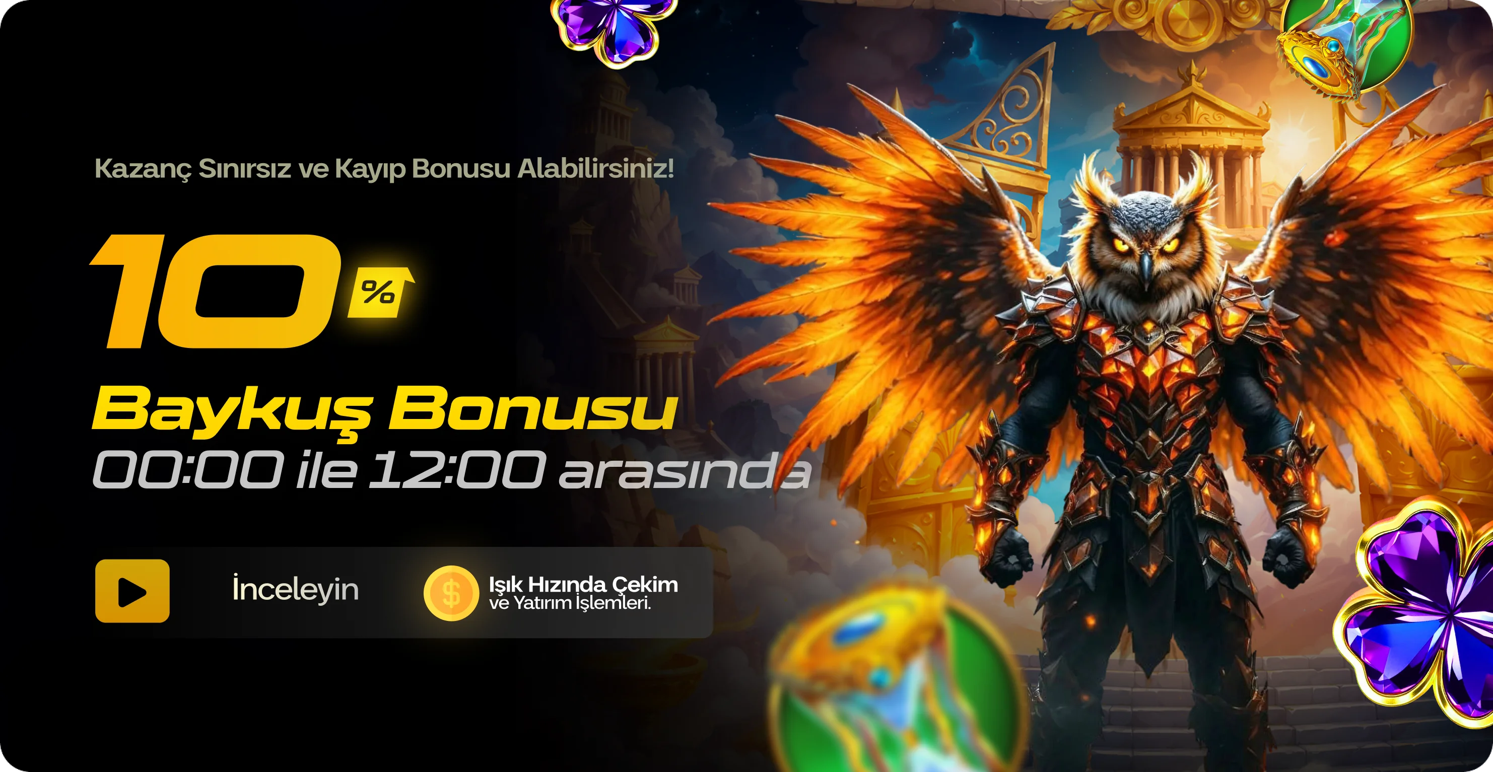 %10 BAYKUŞ